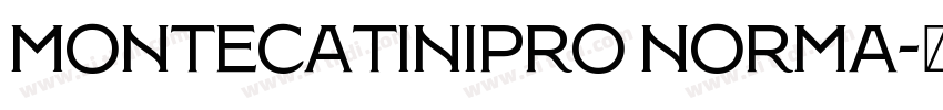 MontecatiniPro Norma字体转换